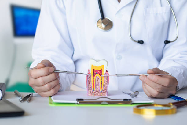 Best Emergency Gum Treatment in Osceola, AR
